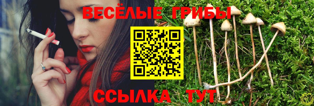 Псилоцибиновые грибы Psilocybine cubensis  где продают наркотики  Галлюциногенные грибы GOLDEN TEACHER  Белая Калитва 