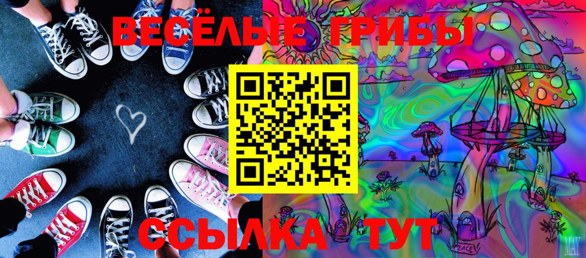 Псилоцибиновые грибы GOLDEN TEACHER Белая Калитва